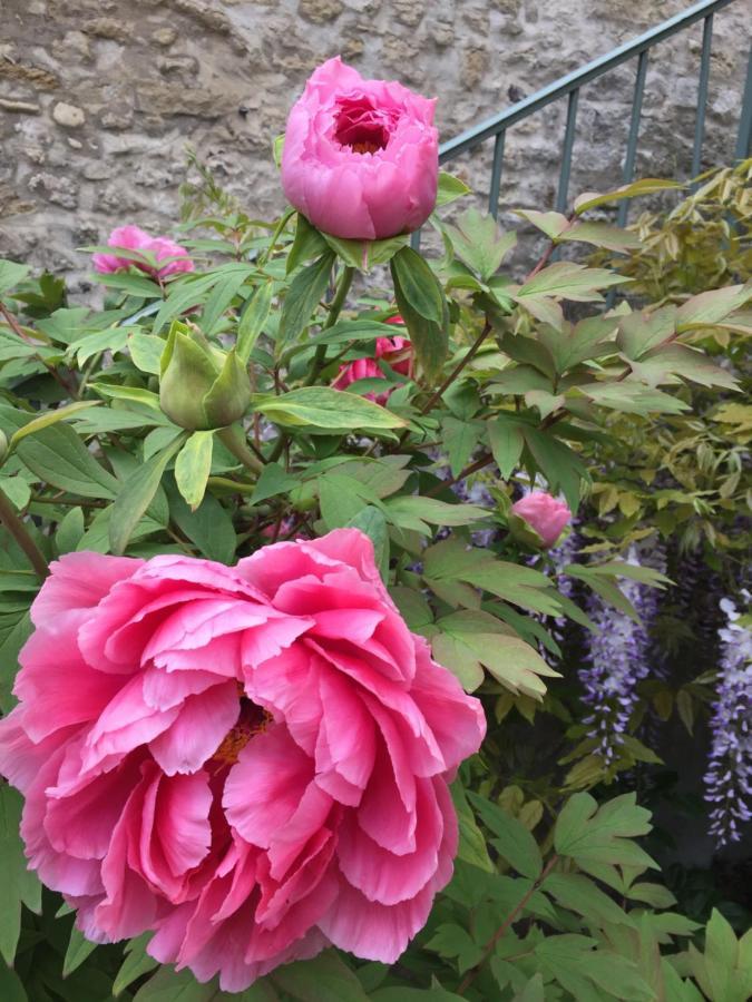 Maule Les Gites Du Clos Saint-Martin מראה חיצוני תמונה